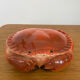 Terrine box "crab" Michel Caugant
