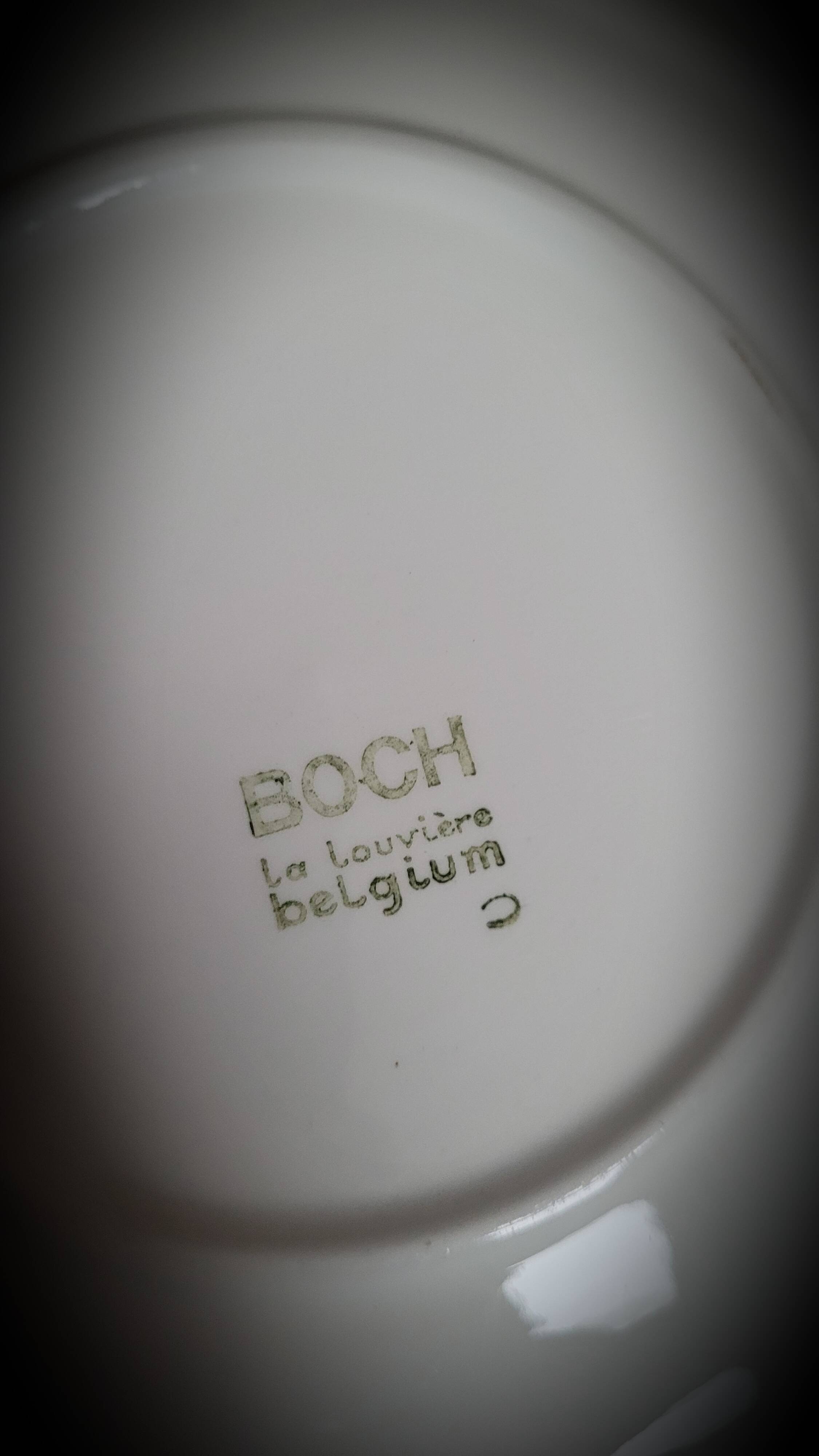 Set of 6 Boch Paradisio plates