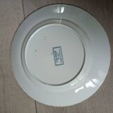 10 antique ironstone dinner plates