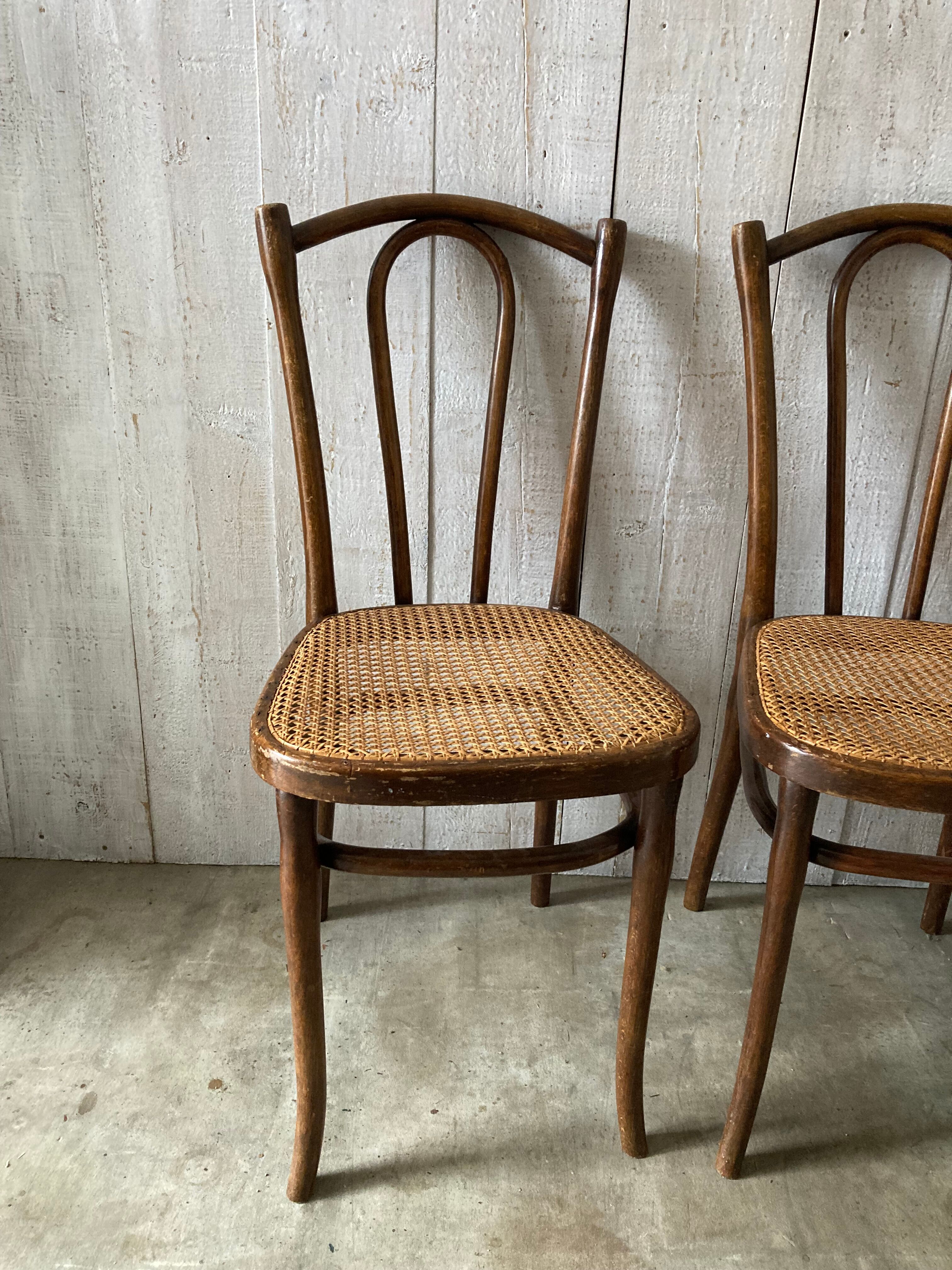 Series of 3 Thonet chairs