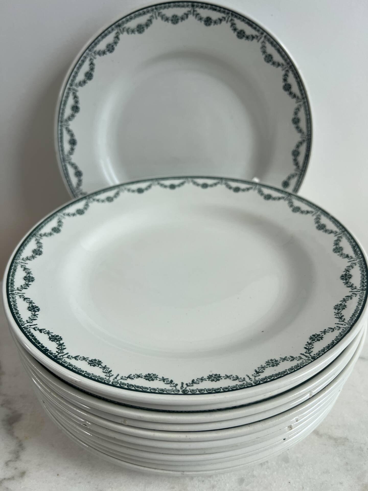 Set of 12 flat plates in Saint Amand earthenware, 22.5cm.