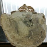 Plaster bust