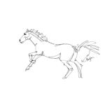 Horse - Balzac