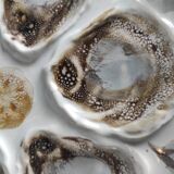 Vintage French oyster plate, Saint Amand