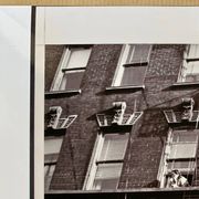 A suspended look Apartment fire escape New York City – 1953