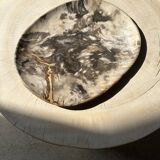 Very large pocket or dish in petrified wood