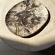 Very large pocket or dish in petrified wood