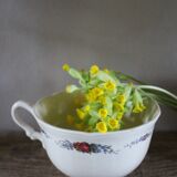 Ecru cup with flowers Alsace Sarreguemines pottery