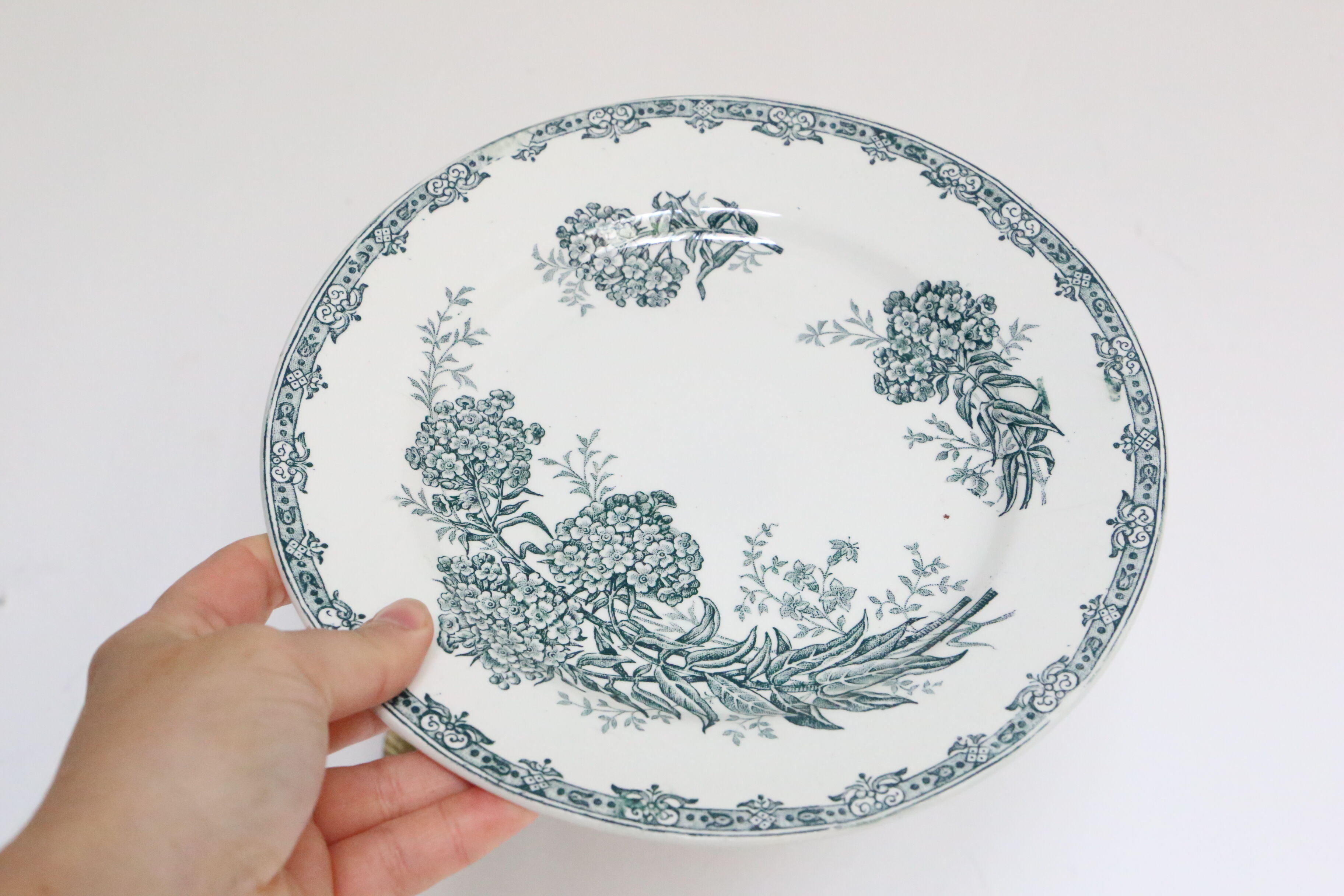 Set of 4 flat plates Terre de Fer, Saint Amand, Daisy