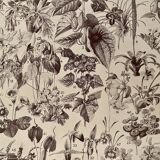 Lithograph on flowers (trees and shrubs) - 1930