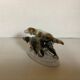 Chiens en porcelaine