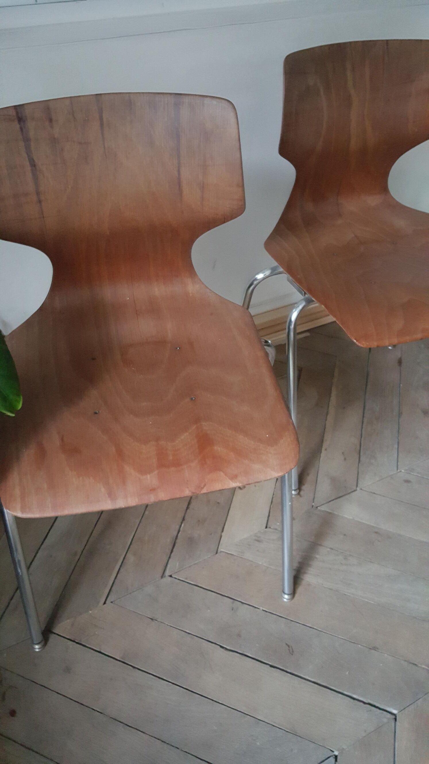 Set of 2 Pagholz Pagwood chairs 1960-1970