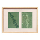 Duo of paintings on paper, herbarium and botanical series signed Eawy.