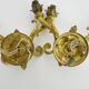 Pair of double-light Empire style wall lights in bronze