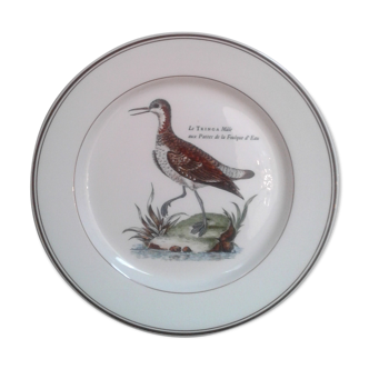 Assiettes Paradiso