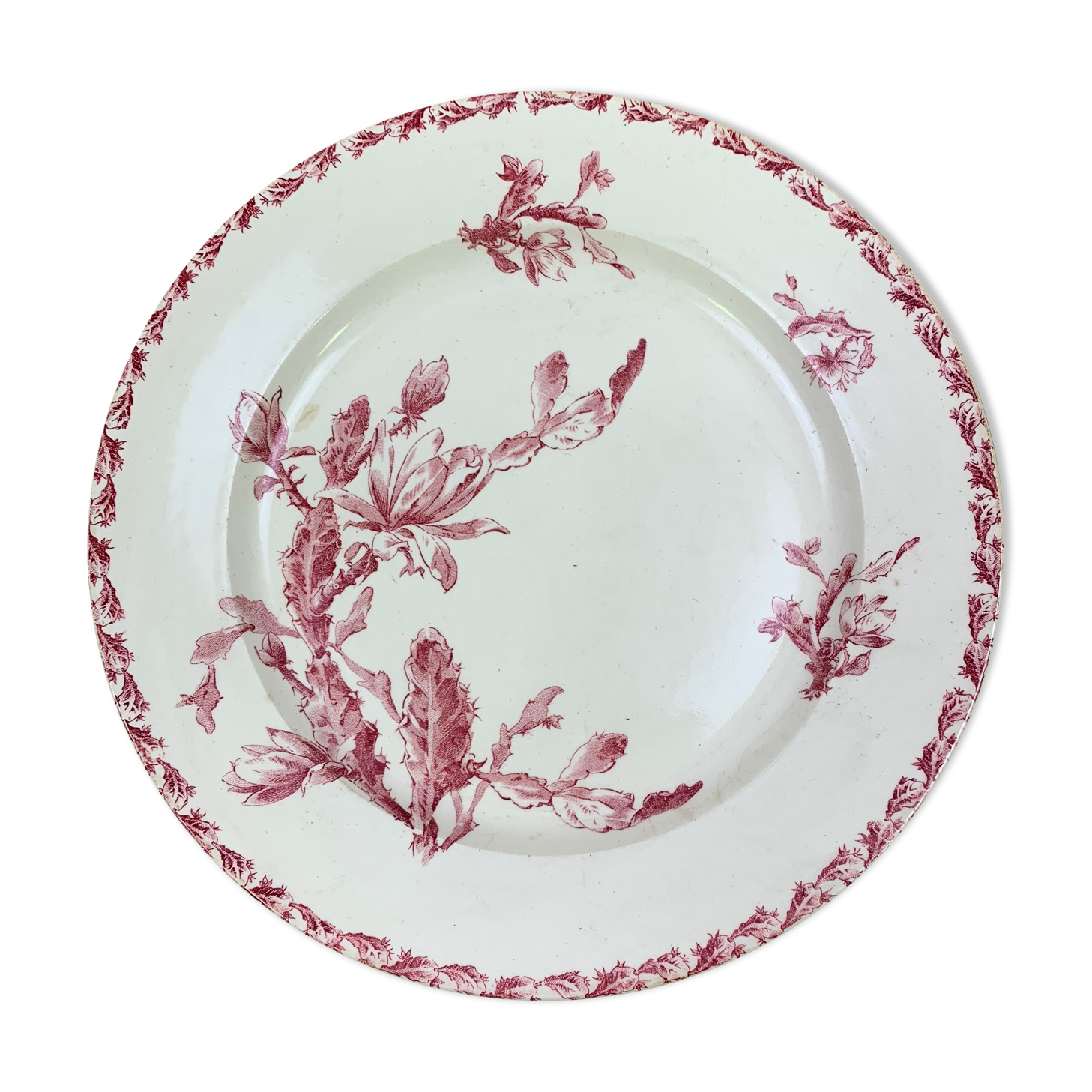 Dish porcelain Gien model Cactus