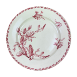 Dish porcelain Gien model Cactus
