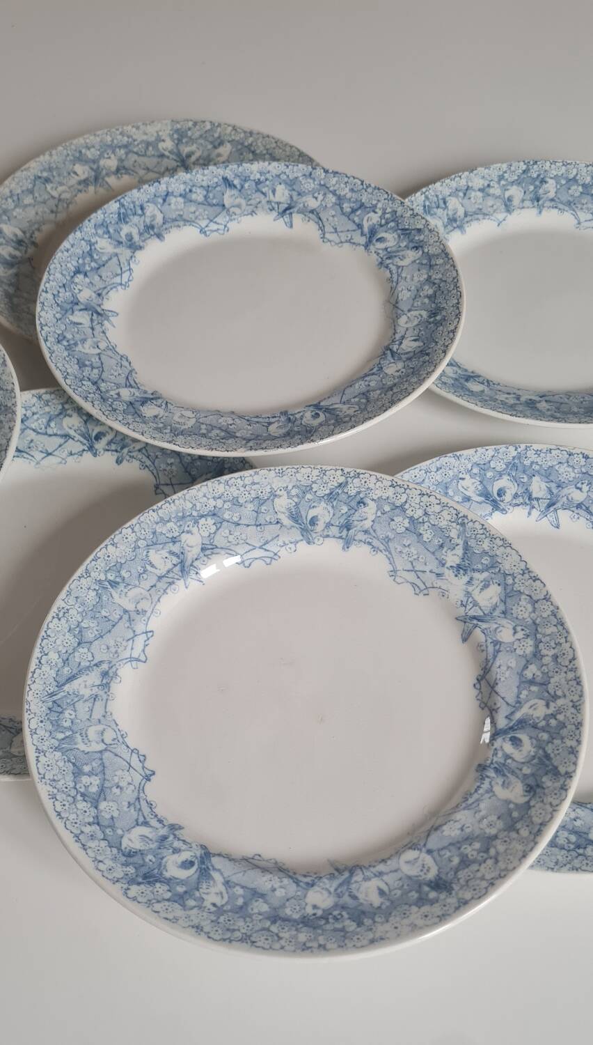 Set of 6 iron earthenware plates