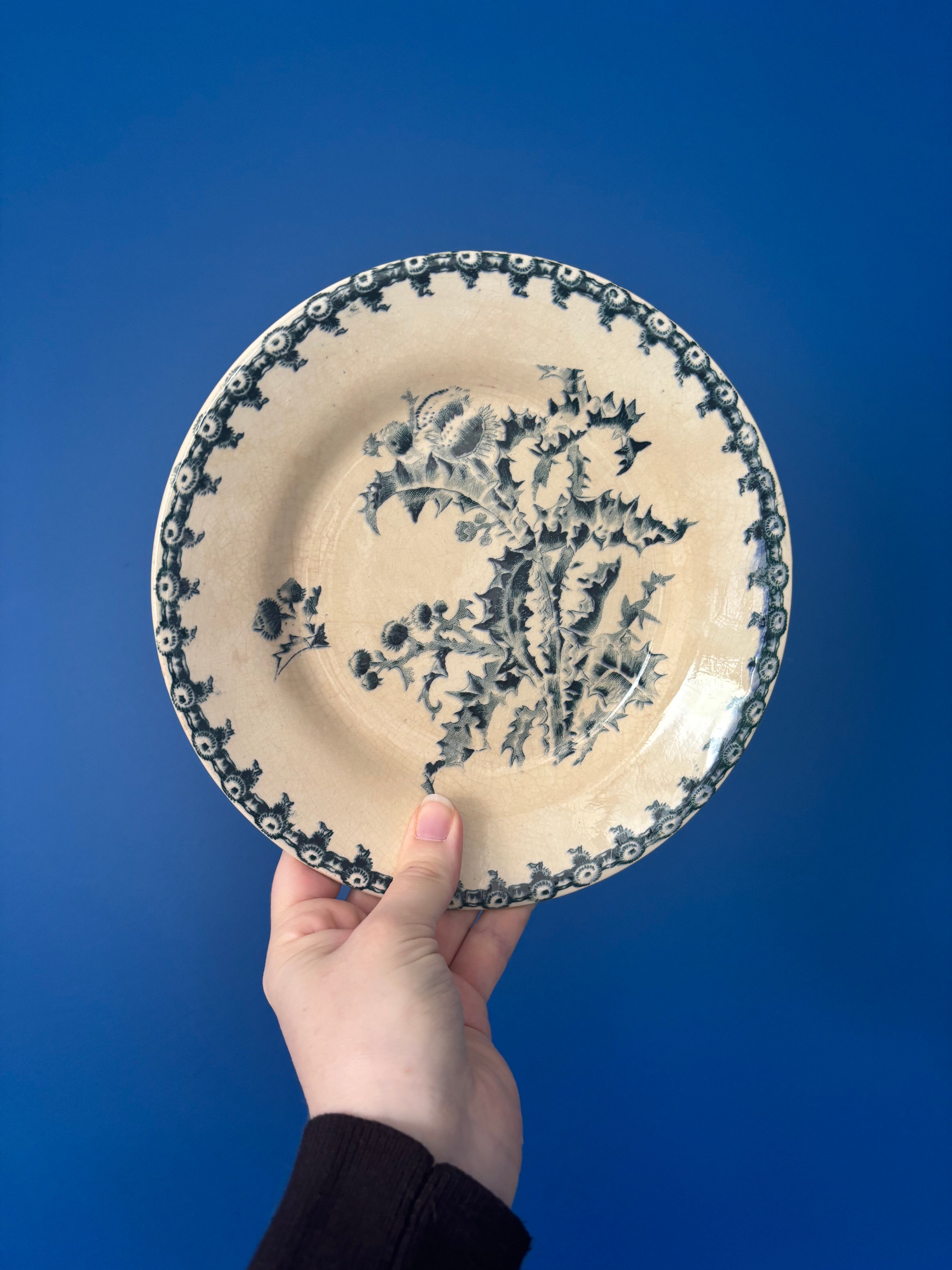 Set of 6 antique dessert plates Gien model Thistle Terre de Feu
