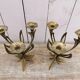 Brass art nouveau chandeliers