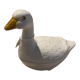 Vide poche