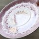 Sarreguemines earthenware plate, "Wagram" motif