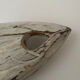 Poisson en bois