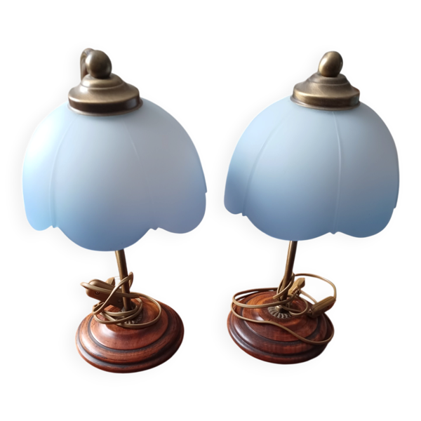 Lot de 2 lampes col de cygnes vintages
