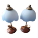 Set of 2 vintage goose neck lamps