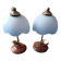 Set of 2 vintage goose neck lamps