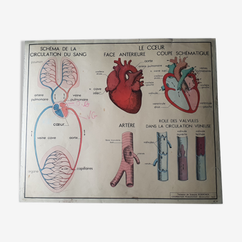 School poster Nightingale N ° 5 the heart N ° 6 traffic