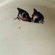 Felix Bracquemond for Creil & Montereau large bowl, fruit basket