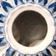 Chinese ginger porcelain pot blue and white