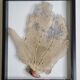 Coral branch old fan, under glass, 50 cm