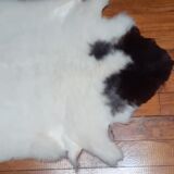 Sheepskin