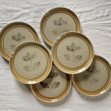 Sarreguemines Tignes plates