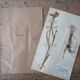 Anders's herbarium - ancient Swedish herbarium board