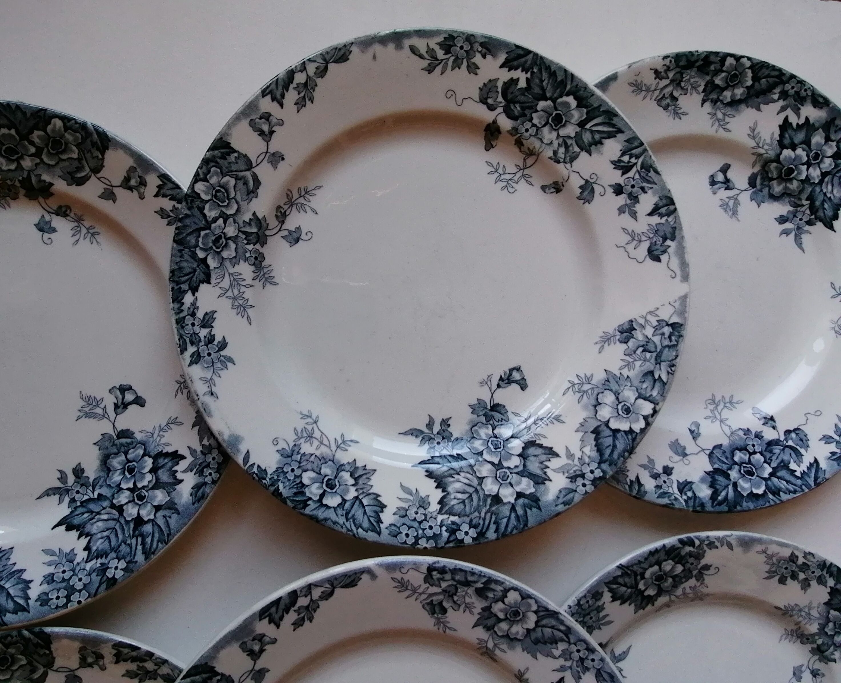 6 plates earth of iron blue and white mill of wolves