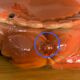 Terrine box "crab" Michel Caugant