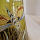 Pair of Enameled Glass Vases with Dragonflies. Unsigned Legras