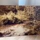 Large old photo, 70s, forest landscape - laminated