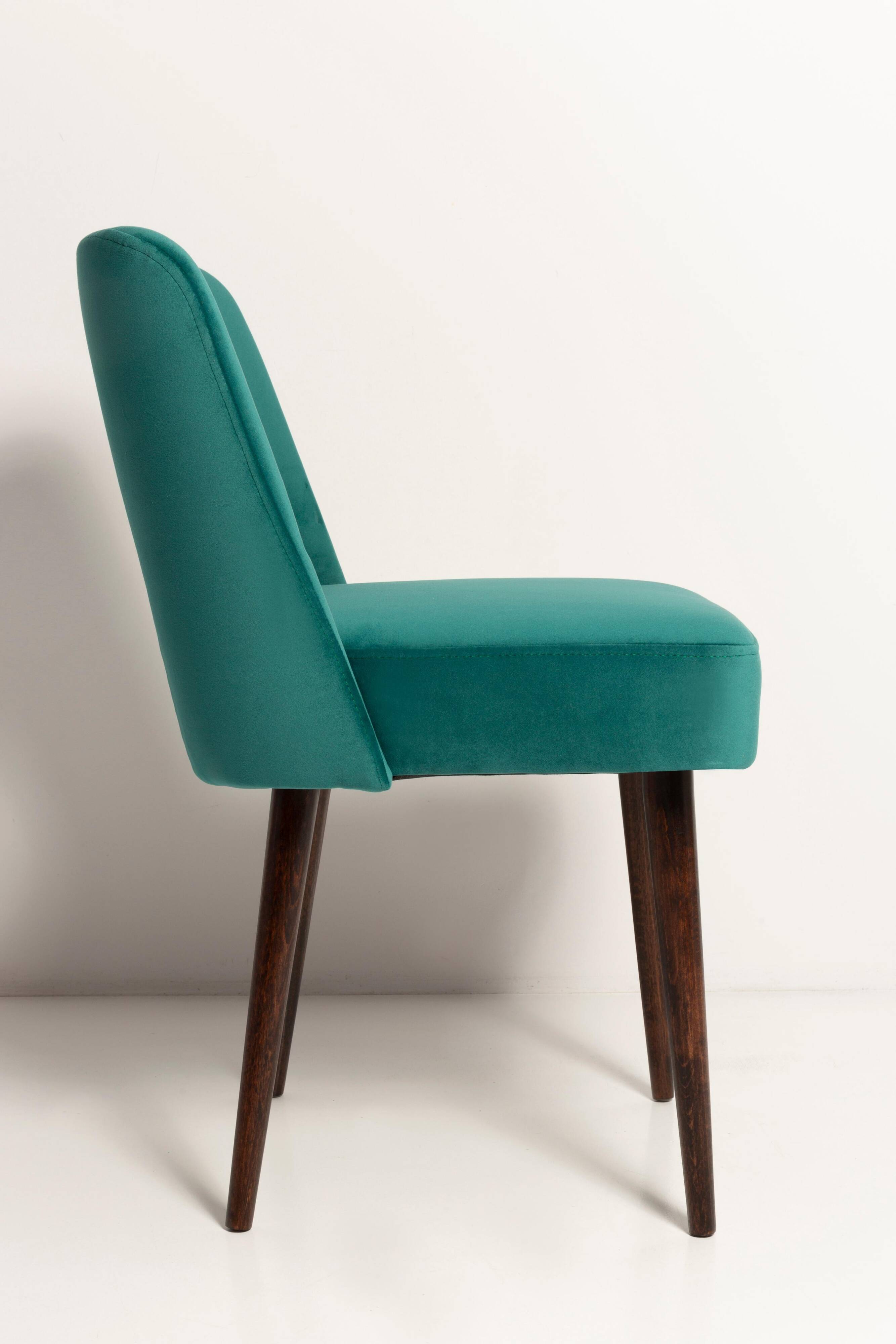 Chaise « shell » en velours crème et bois, Pologne, 1960s