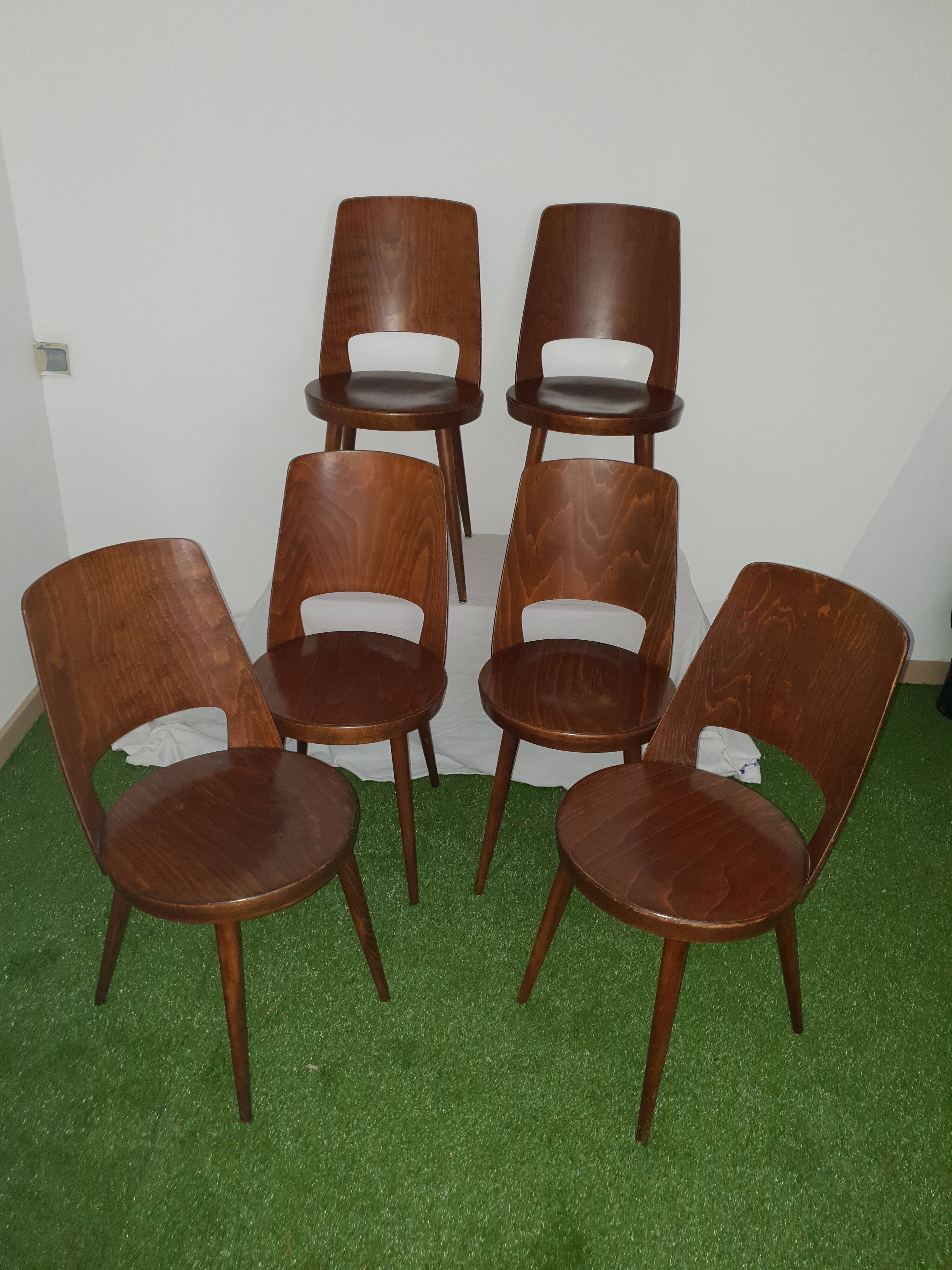 6 chairs Baumann model Mondor
