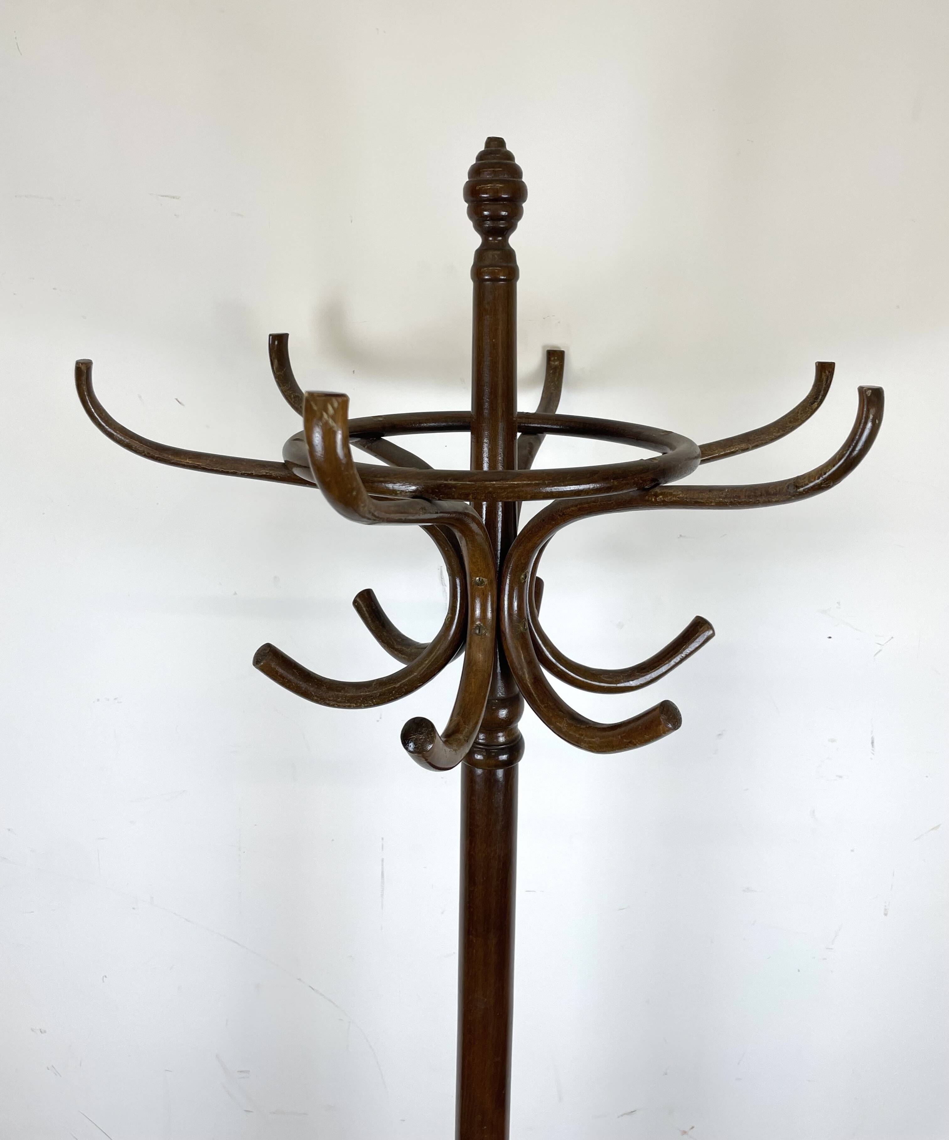 Parrot Coat Rack in Curved Wood-526001