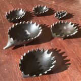 Family of 6 hedgehogs to adopt after Walter Bosse