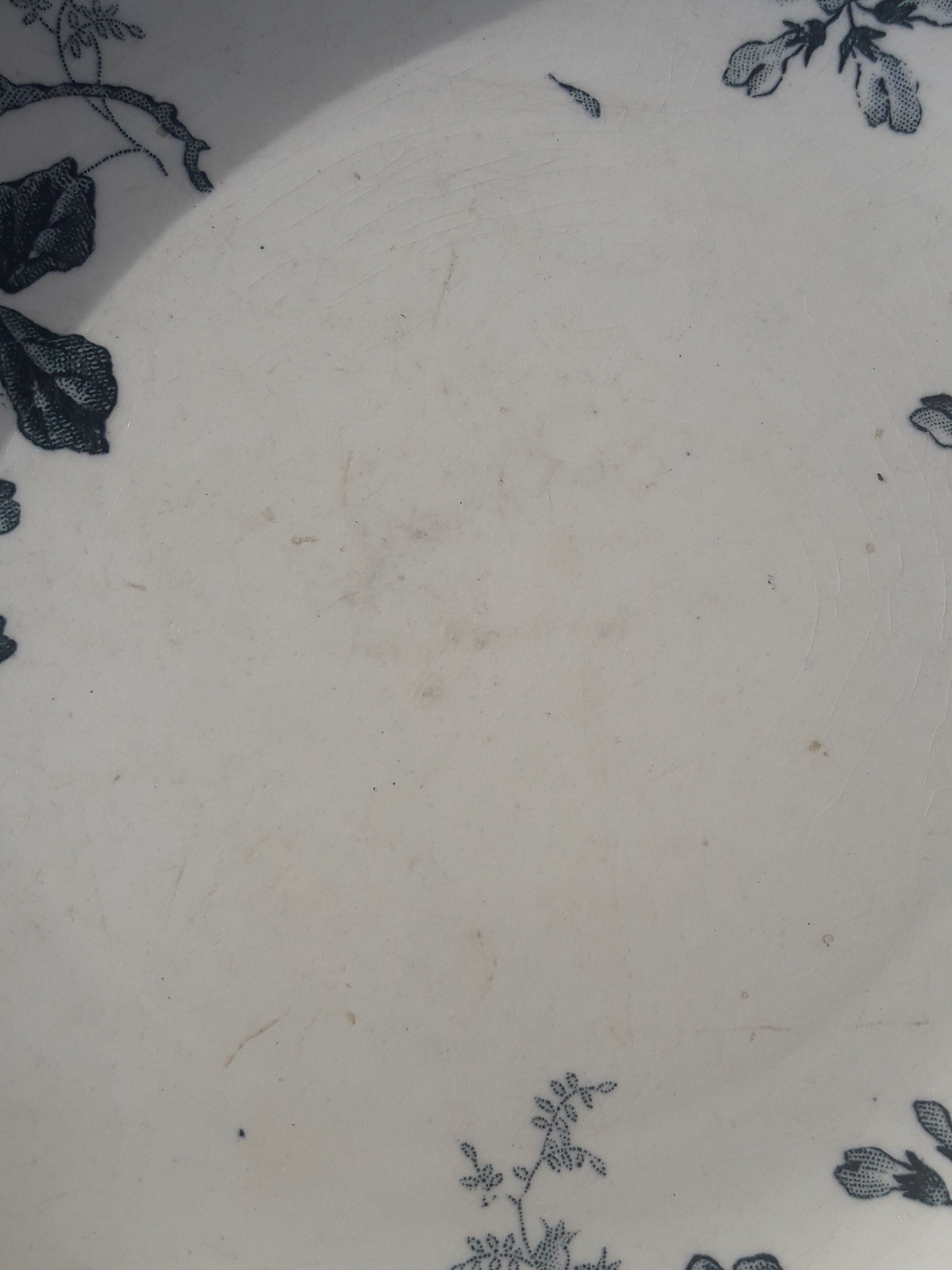 Saint Amand earthenware hollow plate and Hamage model acacia diam 22.5 cm