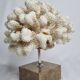 Old white coral on marble base, 20 cm