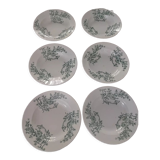 6 assiettes creuses.model capri manufacture Pexonne