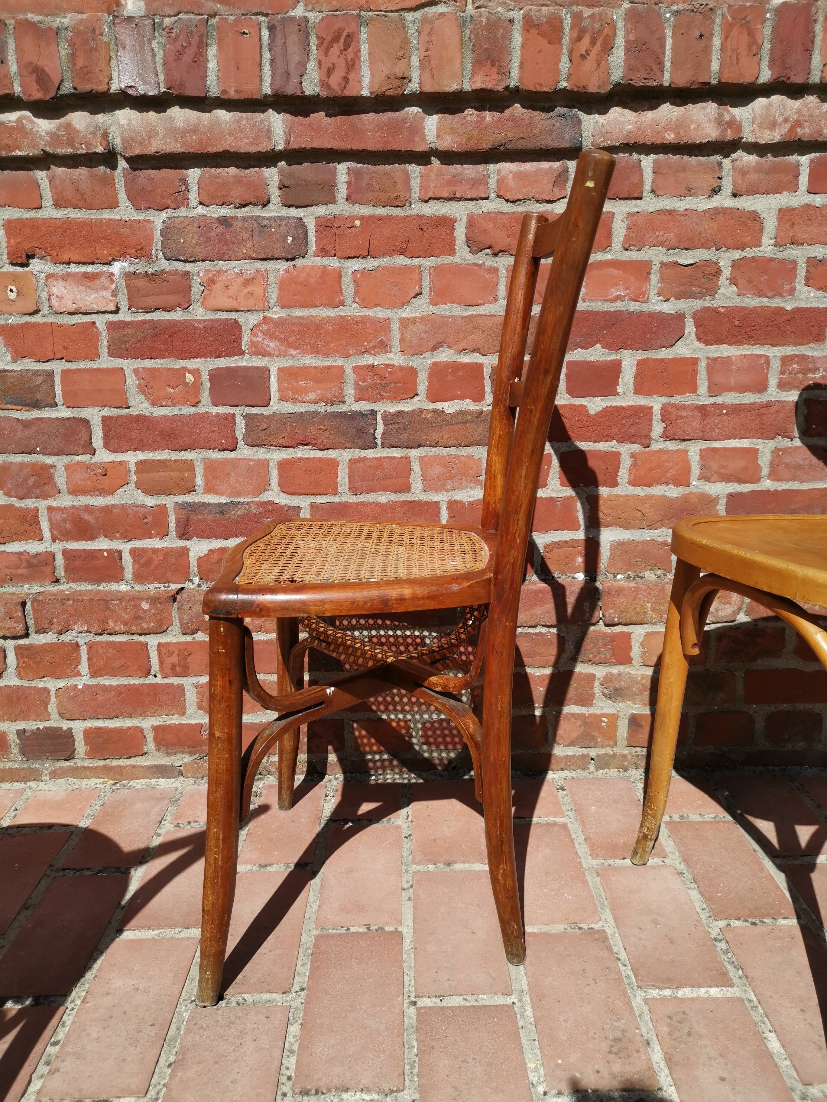 Lot of 6 chairs Jacob - Josef Kohn, Thonet, Mahieu