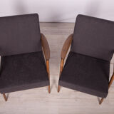 Model 300-139 Armchairs from Swarzędzka, 1960s, Set of 2